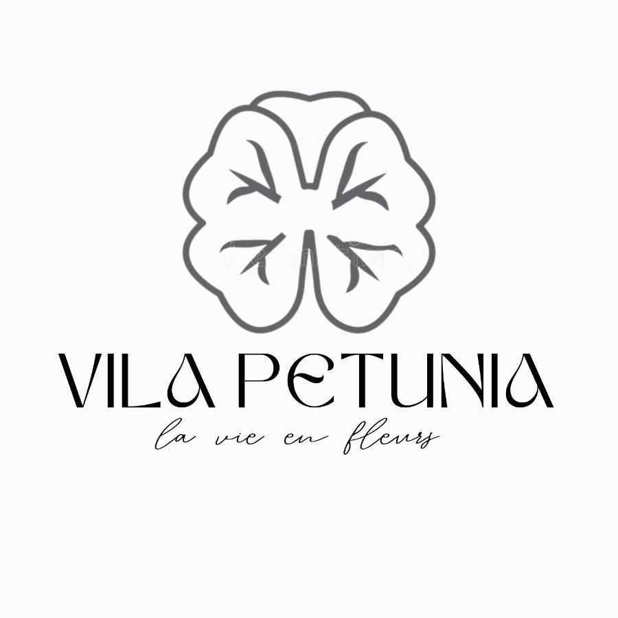 Vila Petunija Sjenica Zewnętrze zdjęcie